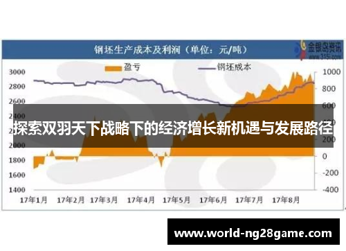 探索双羽天下战略下的经济增长新机遇与发展路径