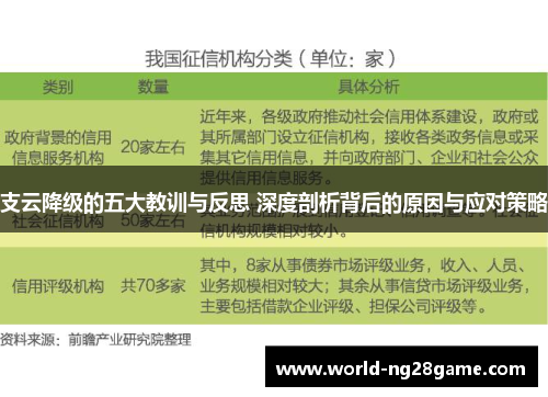 支云降级的五大教训与反思 深度剖析背后的原因与应对策略