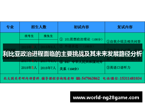 利比亚政治进程面临的主要挑战及其未来发展路径分析