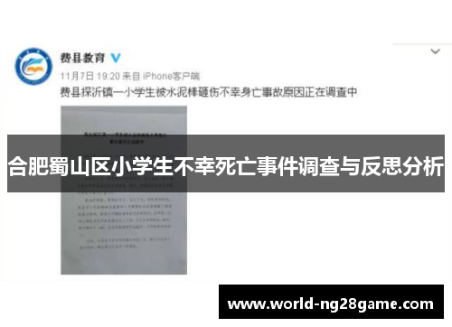 合肥蜀山区小学生不幸死亡事件调查与反思分析