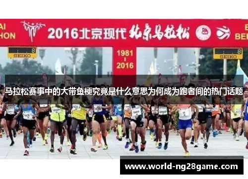 马拉松赛事中的大带鱼梗究竟是什么意思为何成为跑者间的热门话题